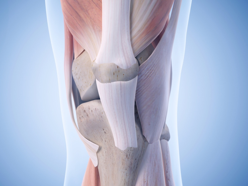 Knee Replacement Surgery Addressing Safety and Accuracy Concerns